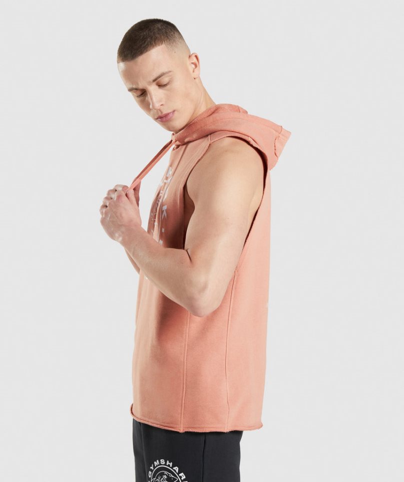 Bluzy Z Kapturem Gymshark Legacy Drop Arm Męskie Różowe | PL 914QSB